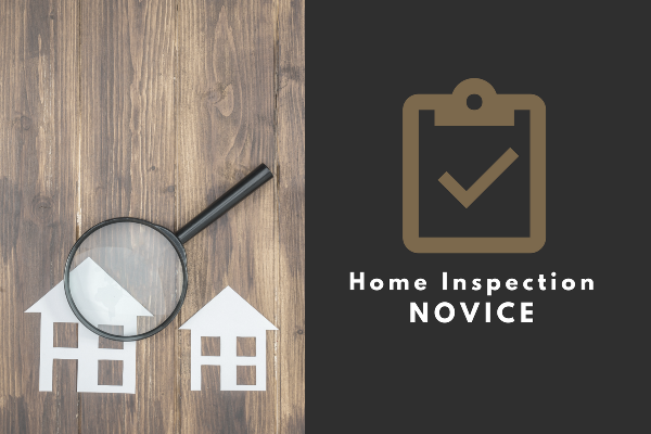 Home Inspection Novice
