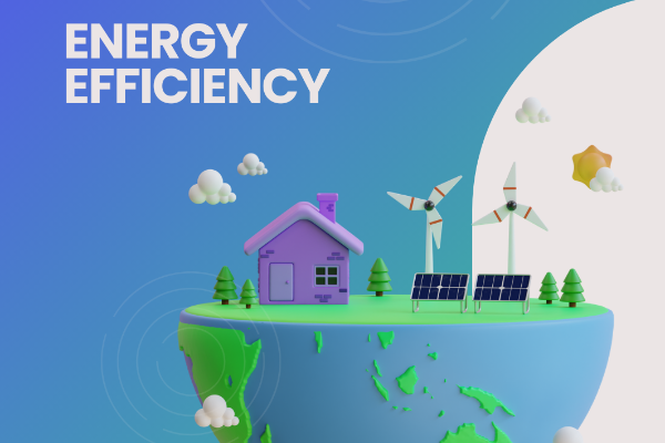 Basic Understanding of FHA's 203 Streamline and Energy Efficient Mortgage 