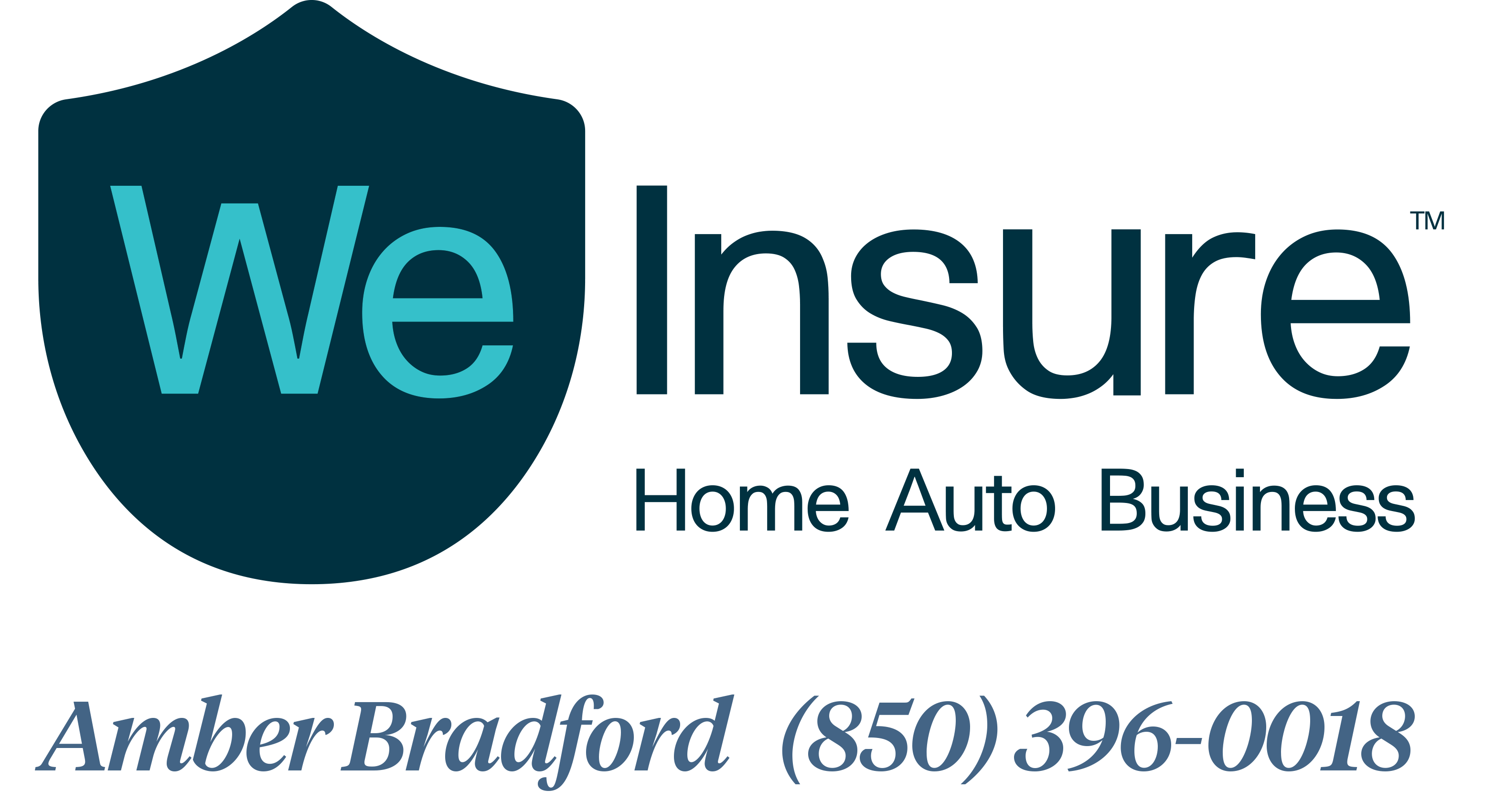 We Insure 